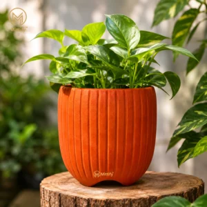 Cup Planter – Red Clay Decorative Vase | Mittify